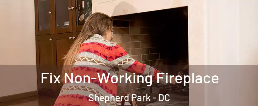 Fix Non-Working Fireplace Shepherd Park - DC