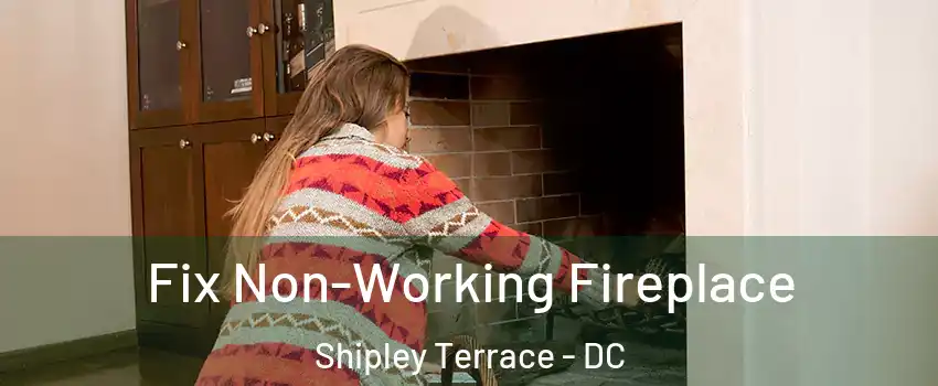 Fix Non-Working Fireplace Shipley Terrace - DC