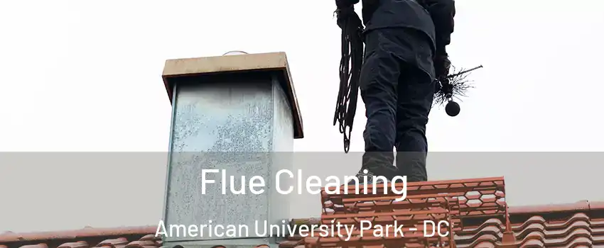 Flue Cleaning American University Park - DC