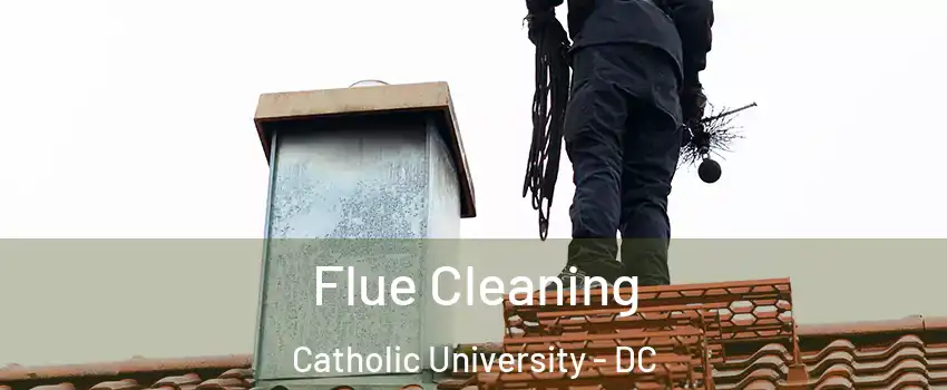 Flue Cleaning Catholic University - DC