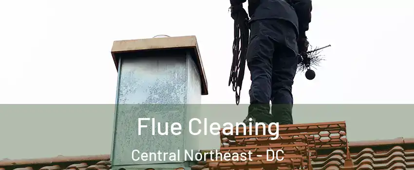 Flue Cleaning Central Northeast - DC