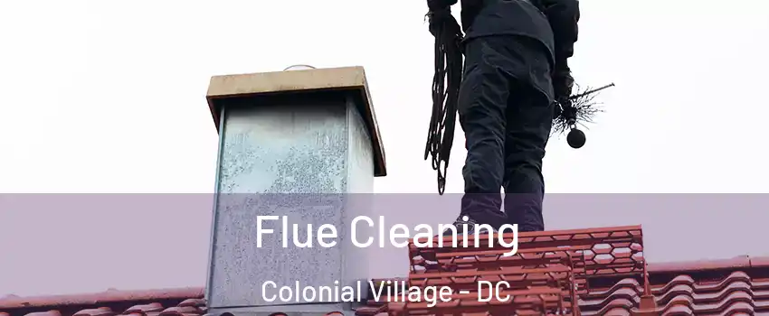 Flue Cleaning Colonial Village - DC