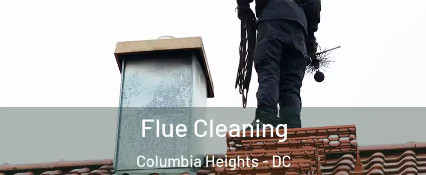 Flue Cleaning Columbia Heights - DC