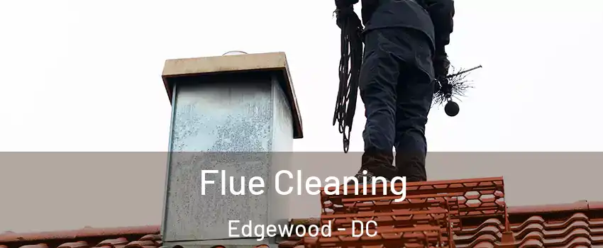 Flue Cleaning Edgewood - DC