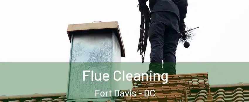 Flue Cleaning Fort Davis - DC