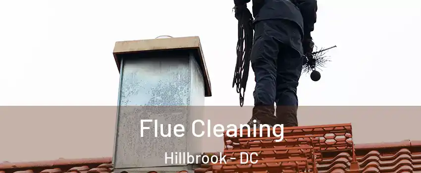 Flue Cleaning Hillbrook - DC