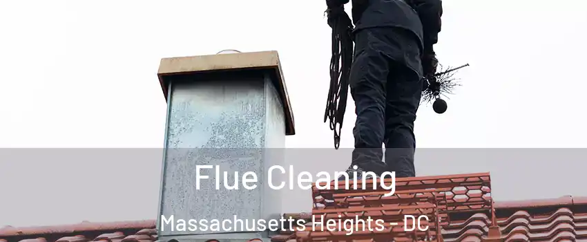 Flue Cleaning Massachusetts Heights - DC