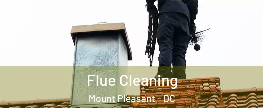 Flue Cleaning Mount Pleasant - DC