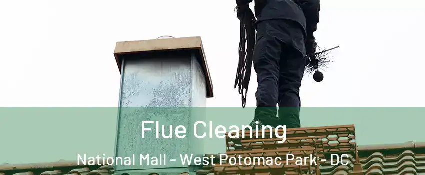 Flue Cleaning National Mall - West Potomac Park - DC