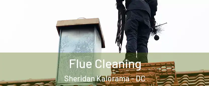 Flue Cleaning Sheridan Kalorama - DC