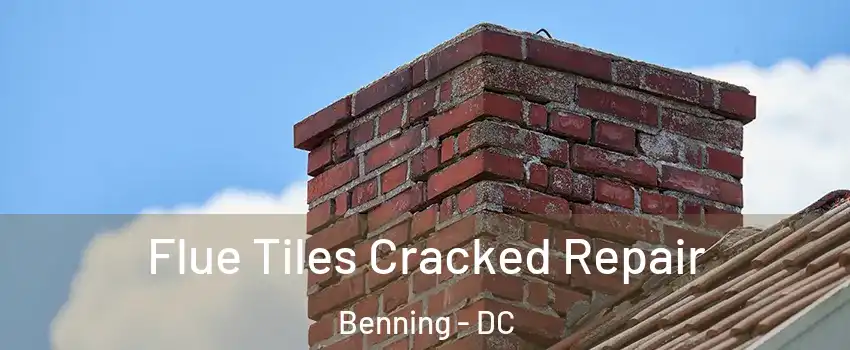 Flue Tiles Cracked Repair Benning - DC