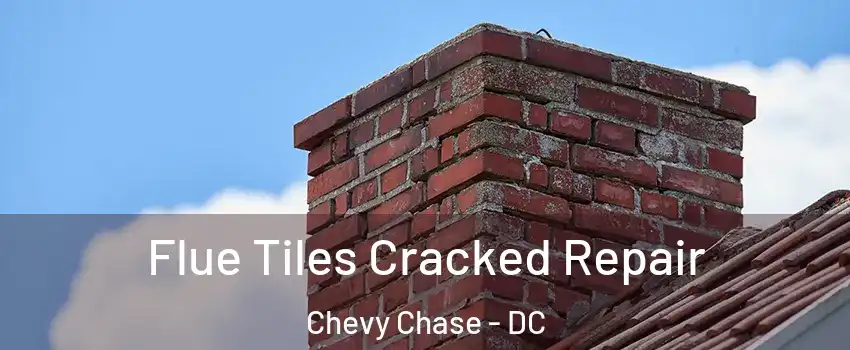 Flue Tiles Cracked Repair Chevy Chase - DC