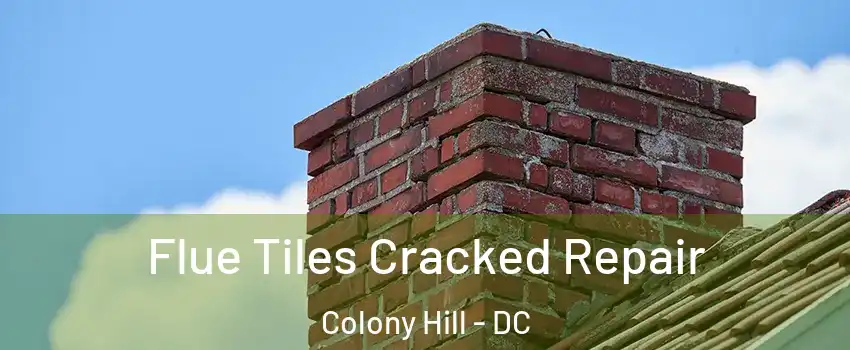 Flue Tiles Cracked Repair Colony Hill - DC