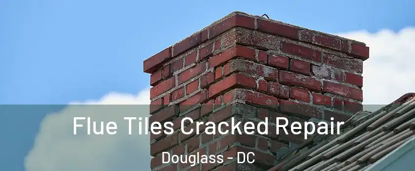 Flue Tiles Cracked Repair Douglass - DC