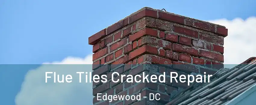 Flue Tiles Cracked Repair Edgewood - DC