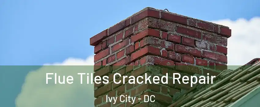 Flue Tiles Cracked Repair Ivy City - DC