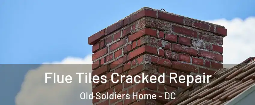 Flue Tiles Cracked Repair Old Soldiers Home - DC