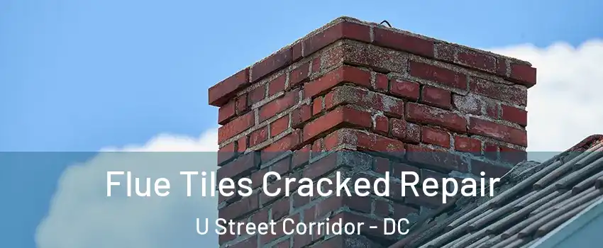 Flue Tiles Cracked Repair U Street Corridor - DC