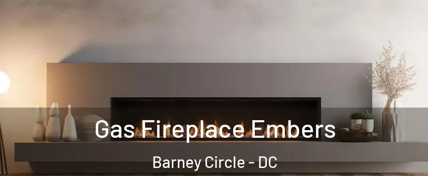 Gas Fireplace Embers Barney Circle - DC