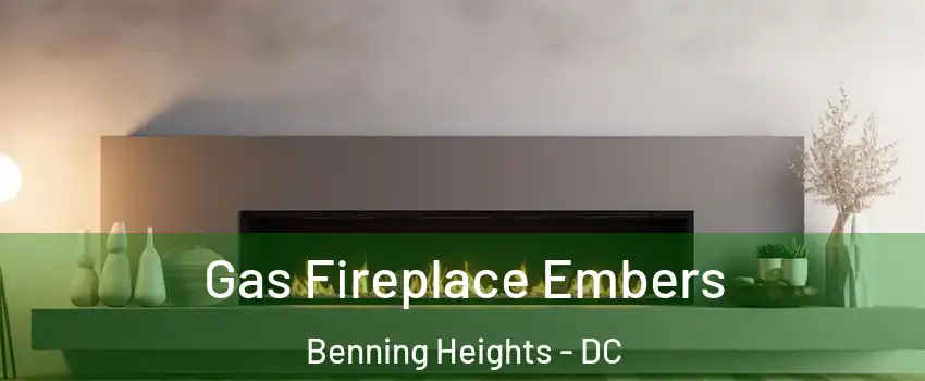 Gas Fireplace Embers Benning Heights - DC