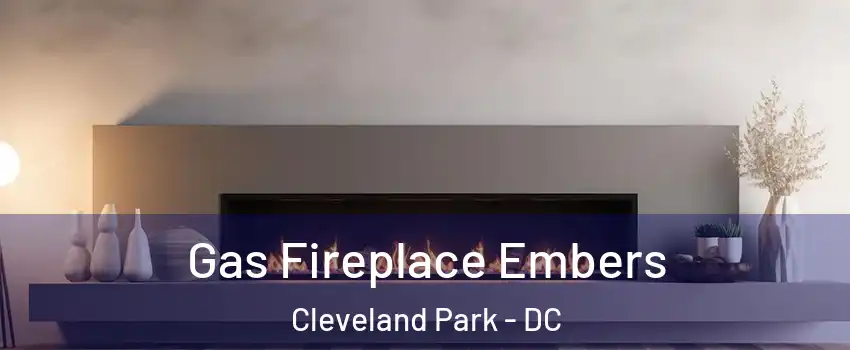 Gas Fireplace Embers Cleveland Park - DC