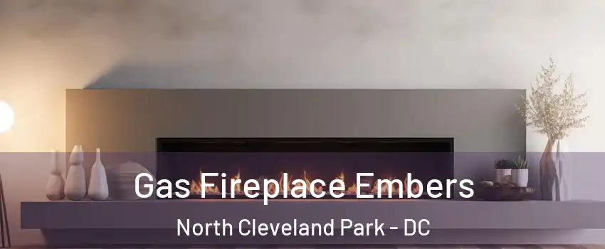 Gas Fireplace Embers North Cleveland Park - DC