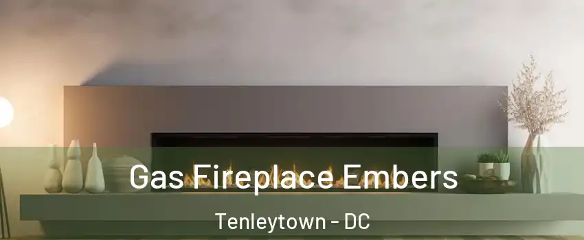 Gas Fireplace Embers Tenleytown - DC