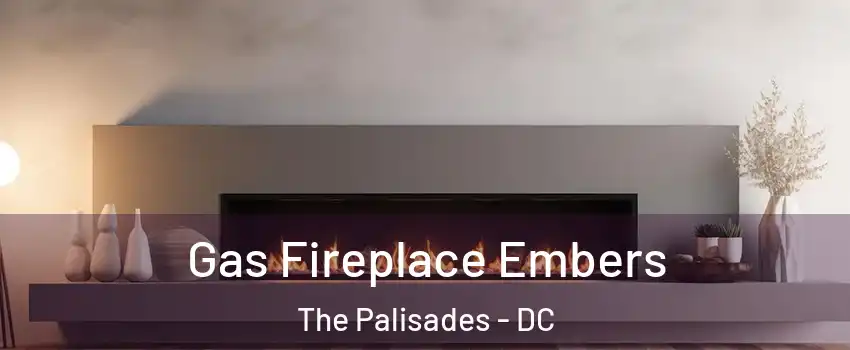 Gas Fireplace Embers The Palisades - DC