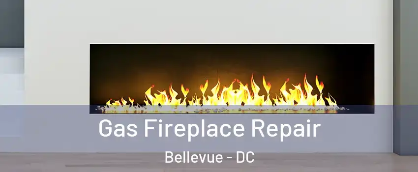 Gas Fireplace Repair Bellevue - DC