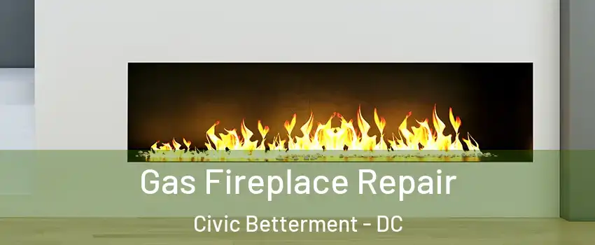 Gas Fireplace Repair Civic Betterment - DC