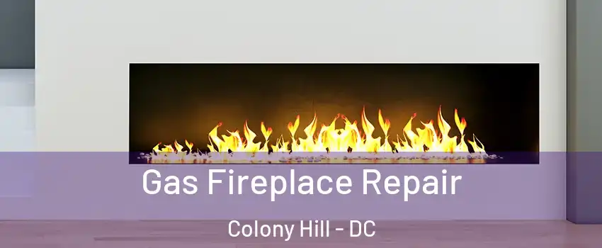 Gas Fireplace Repair Colony Hill - DC