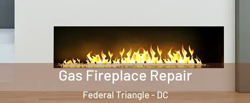 Gas Fireplace Repair Federal Triangle - DC