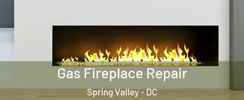 Gas Fireplace Repair Spring Valley - DC