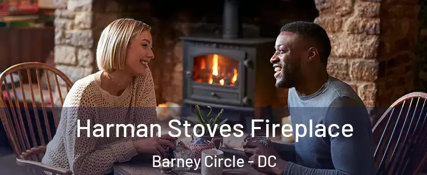 Harman Stoves Fireplace Barney Circle - DC