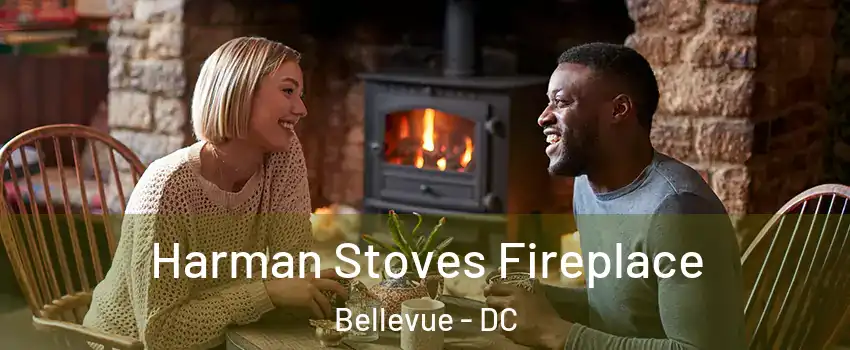 Harman Stoves Fireplace Bellevue - DC