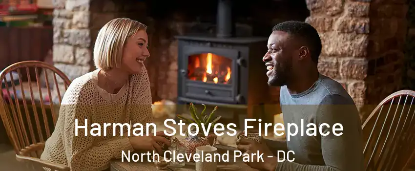 Harman Stoves Fireplace North Cleveland Park - DC