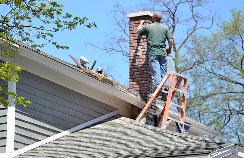 Chimney & Fireplace Inspections Services in Washington, DC