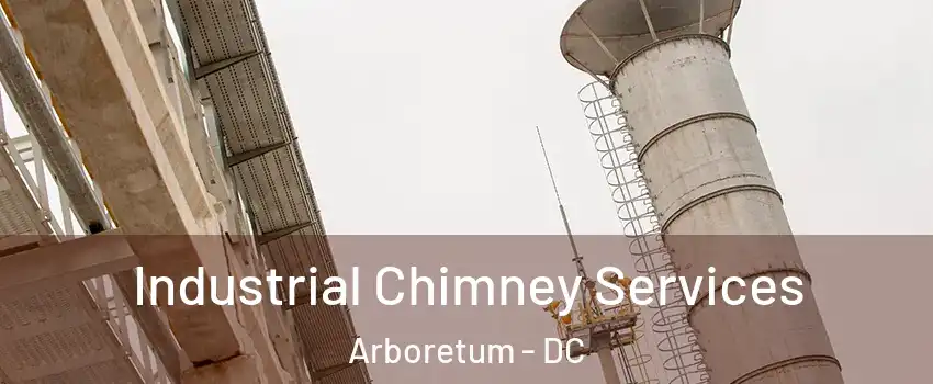 Industrial Chimney Services Arboretum - DC