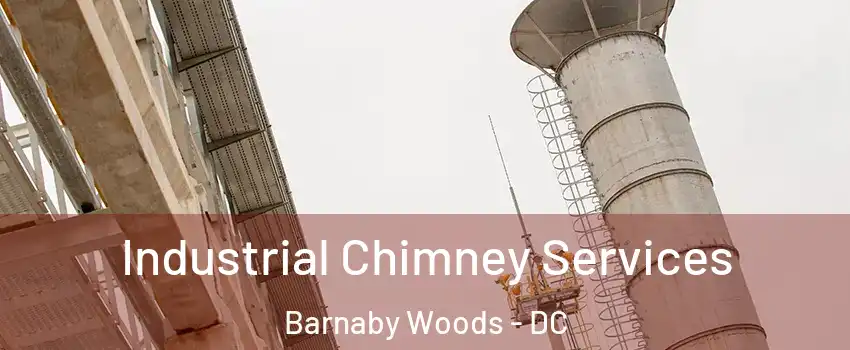 Industrial Chimney Services Barnaby Woods - DC