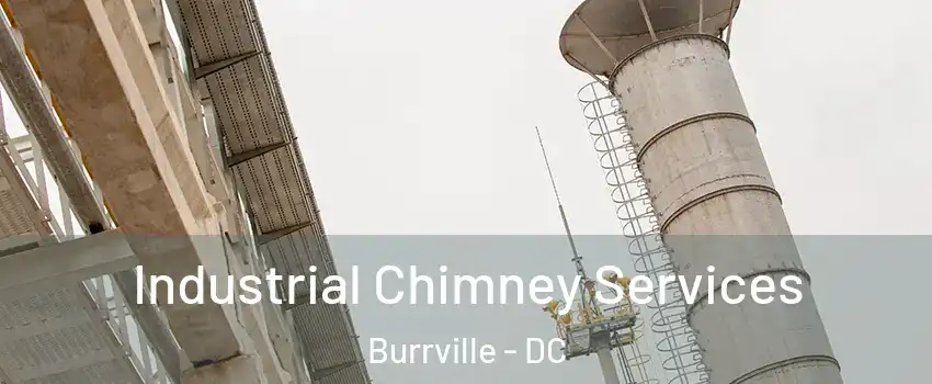 Industrial Chimney Services Burrville - DC