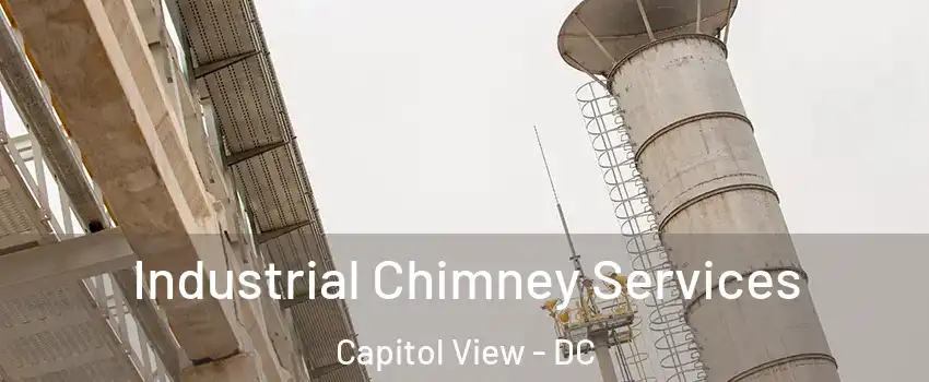 Industrial Chimney Services Capitol View - DC