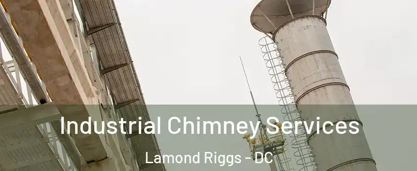 Industrial Chimney Services Lamond Riggs - DC