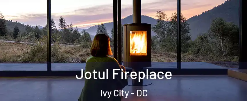 Jotul Fireplace Ivy City - DC