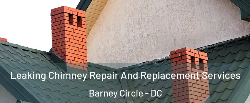 Leaking Chimney Repair And Replacement Services Barney Circle - DC