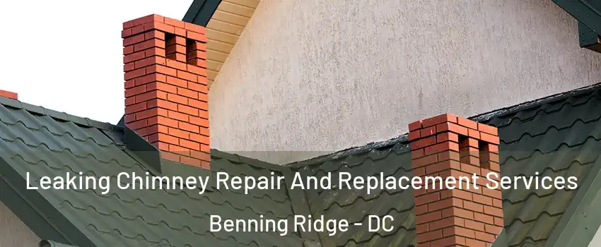 Leaking Chimney Repair And Replacement Services Benning Ridge - DC