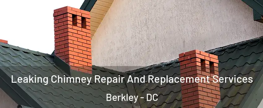 Leaking Chimney Repair And Replacement Services Berkley - DC