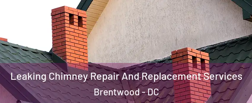 Leaking Chimney Repair And Replacement Services Brentwood - DC