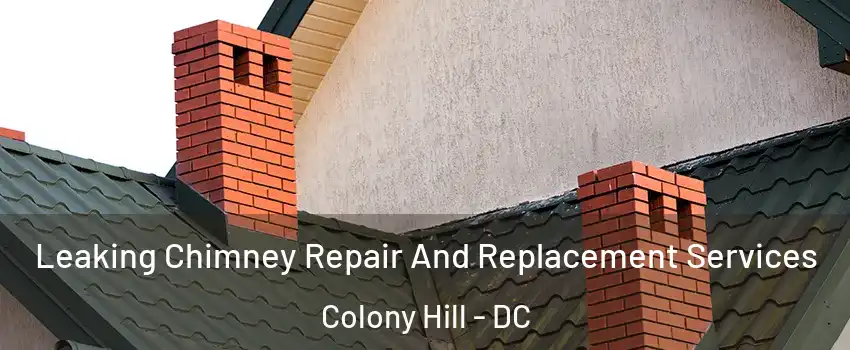 Leaking Chimney Repair And Replacement Services Colony Hill - DC