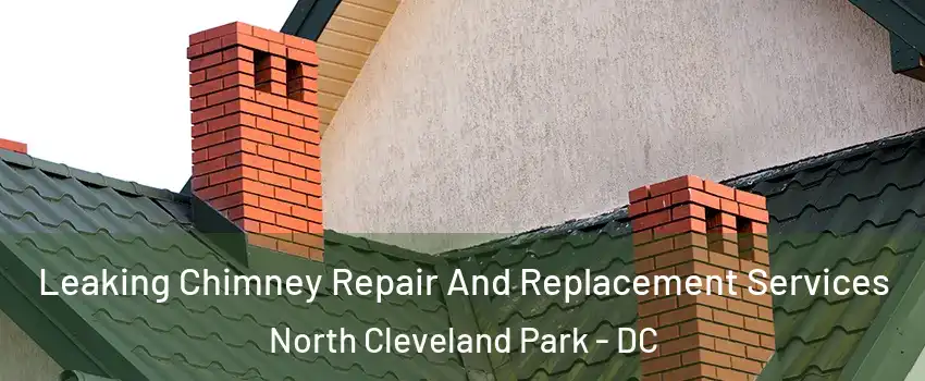 Leaking Chimney Repair And Replacement Services North Cleveland Park - DC