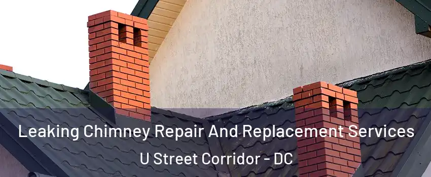 Leaking Chimney Repair And Replacement Services U Street Corridor - DC